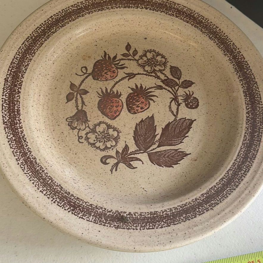 Assorted Ceramic Bakeware and Serving Plates - image 6 of 12