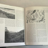 Samuel Eliot Morison Christopher Columbus: The Voyage of Discovery 1492 Book - thumbnail 3 of 5