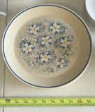 Assorted Ceramic Serving Dishes, Plates, Cups, and Mugs - thumbnail 10 of 13