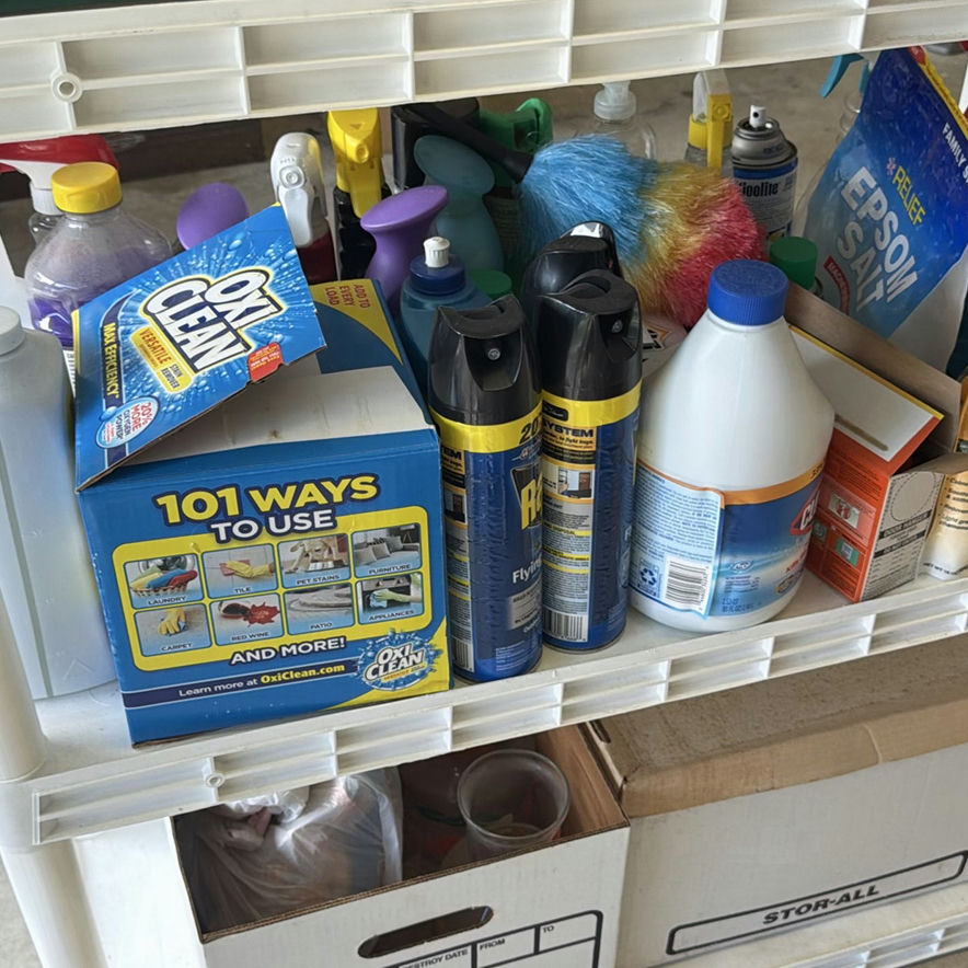 Assorted Household Cleaning Supplies and Sprays - image 1 of 5