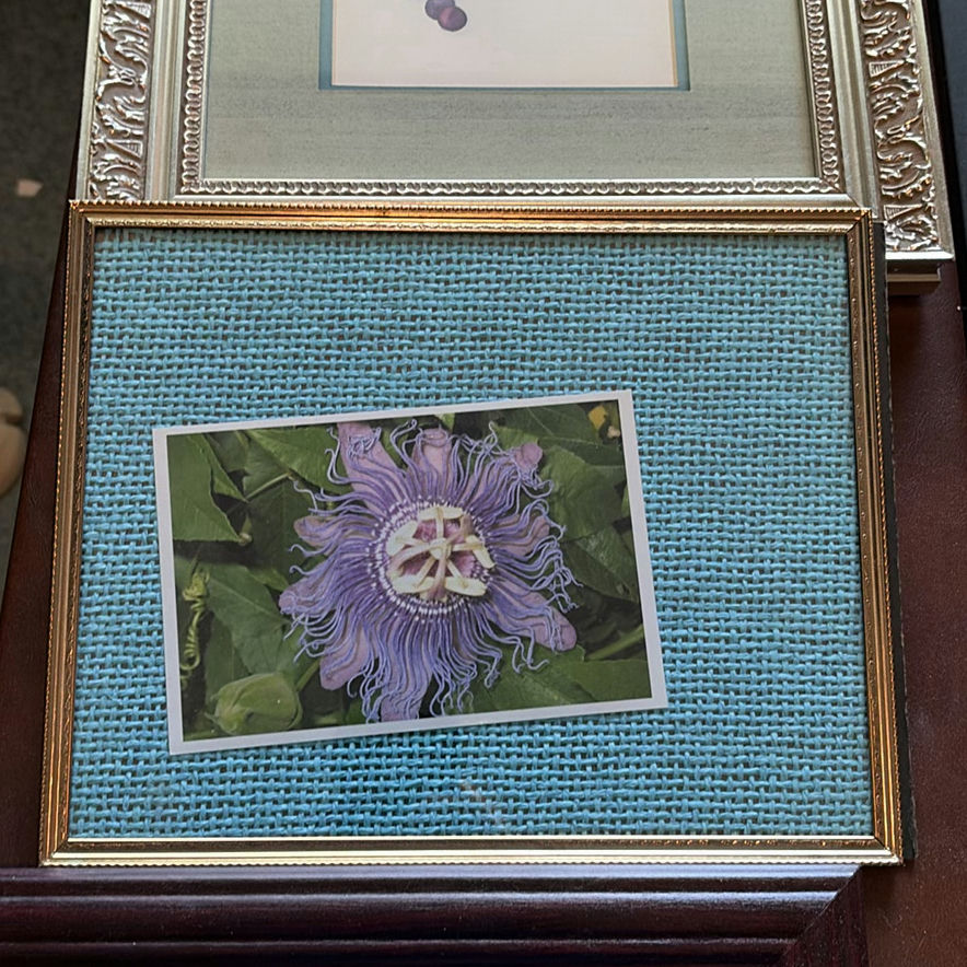 Assorted Framed Wall Art and Picture Frames - image 6 of 9