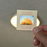 Smith-Victor Slide Storage Cases with Kodachrome Transparency Slides - thumbnail 6 of 9