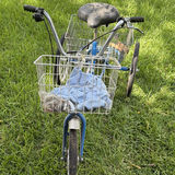Adventurer Adult Tricycle with Front and Rear Baskets - thumbnail 6 of 6