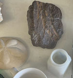Assorted Seashells, Glass Dishes, and Ceramic Serving Pieces - thumbnail 9 of 14