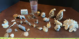 Mixed Ceramic Animal Figurines, Seashells, and Decorative Items - thumbnail 1 of 10