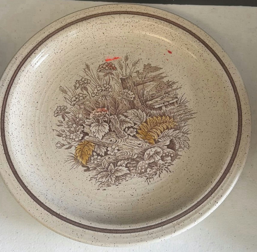 Assorted Ceramic Bakeware and Serving Plates - image 5 of 12