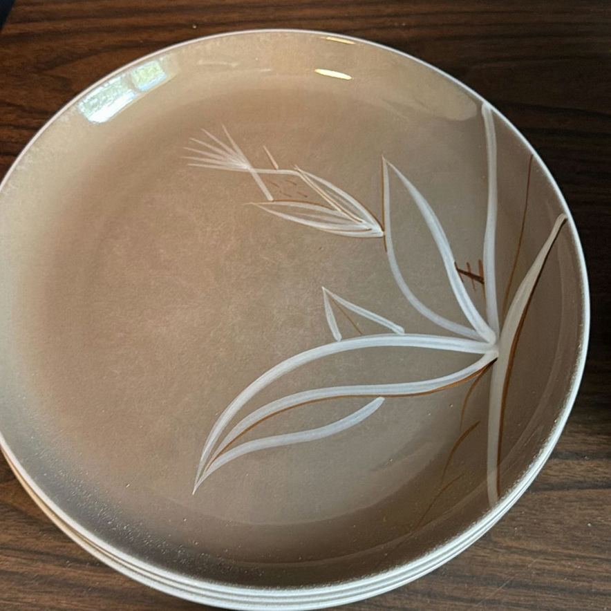 Winfield Hand Crafted California China Desert Dawn Porcelain Plates - image 3 of 6