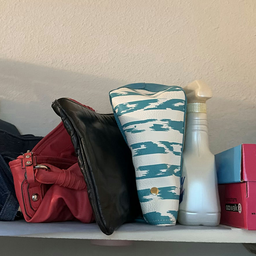 Storage Bins, Handbags, Shoe Boxes, and Clothes Steamer - image 4 of 8