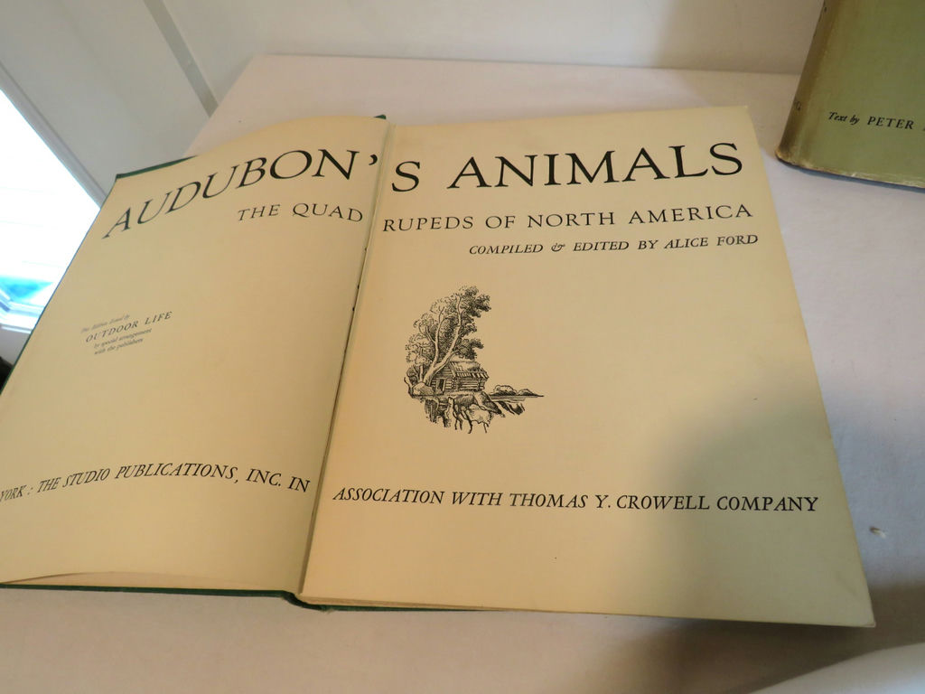 Nature Books Shorebirds and Aububon's Animals - image 2 of 8