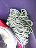 Bin filled with Camping Supplies Portable Primus Stove - thumbnail 6 of 13