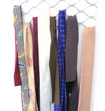 Assorted Women's Narrow Scarves and Accessory Ties - thumbnail 2 of 8