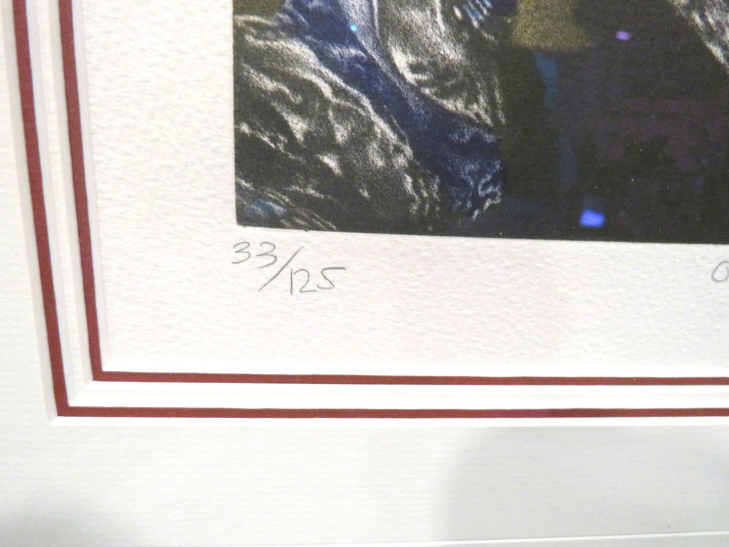 Signed "Oleo" Limited Edition Framed Art Spanish Artist - image 3 of 7