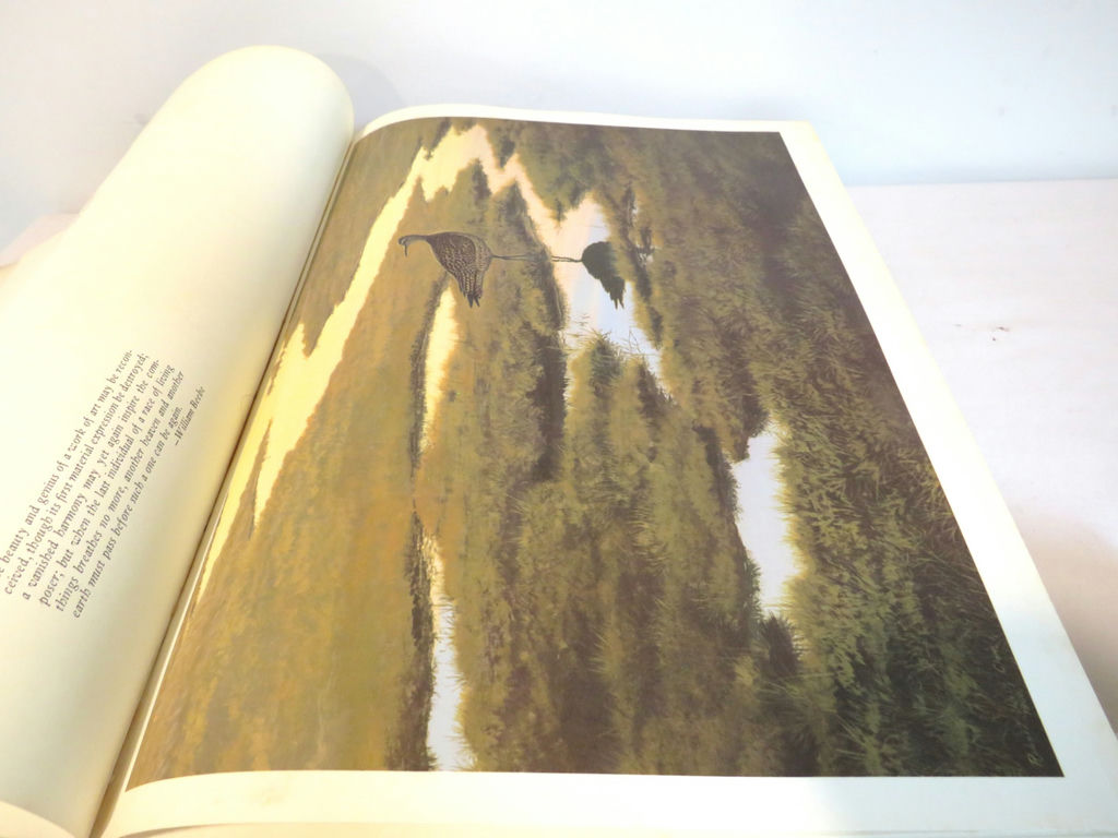 Nature Books Shorebirds and Aububon's Animals - image 4 of 8
