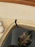 Country Style Wood and Iron Leaf Scroll Dresser Mirror - thumbnail 4 of 4