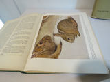 Nature Books Shorebirds and Aububon's Animals - thumbnail 7 of 8