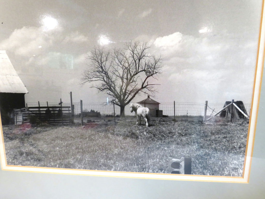 John Hock Missouri Artist Framed Farm Horse Scene Photograph - image 3 of 5