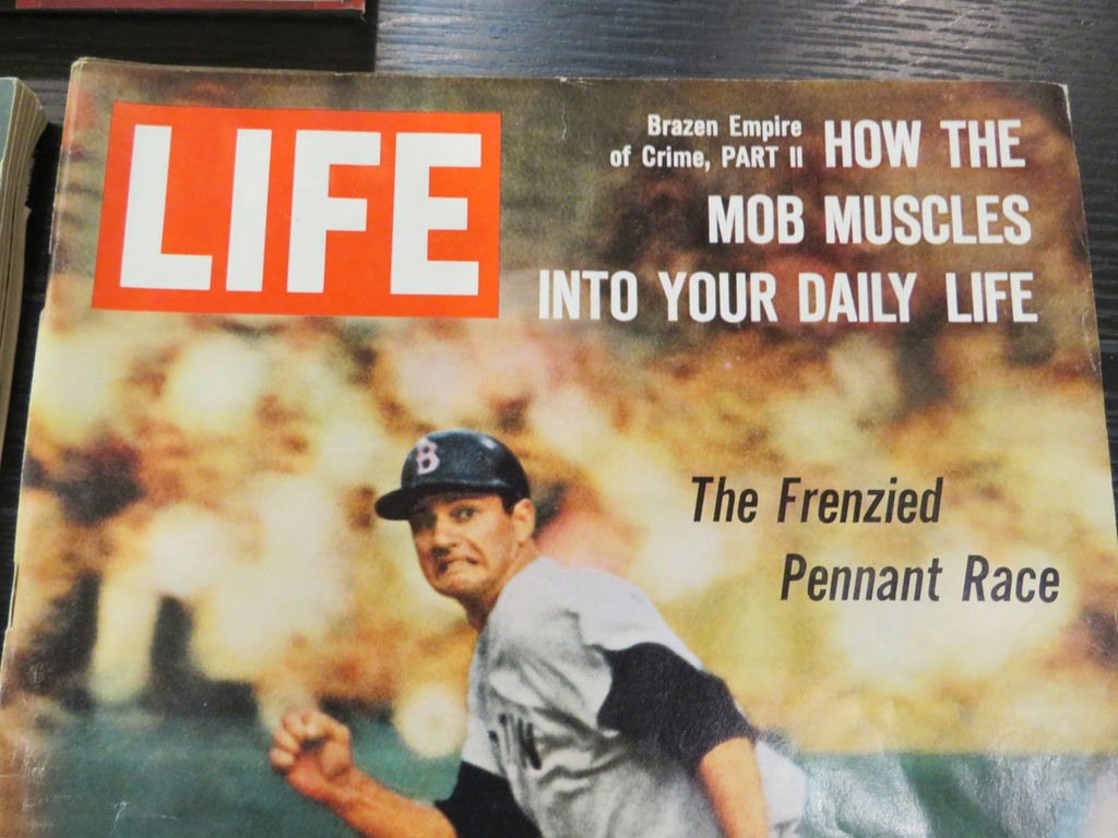 Sports Books Magazines Baseball Cards TB12 Horse - image 9 of 10