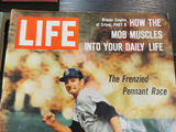 Sports Books Magazines Baseball Cards TB12 Horse - thumbnail 9 of 10