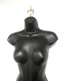 Plastic Female Mannequin #2 of 4 - thumbnail 4 of 5