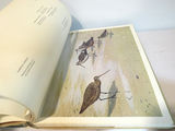 Nature Books Shorebirds and Aububon's Animals - thumbnail 8 of 8