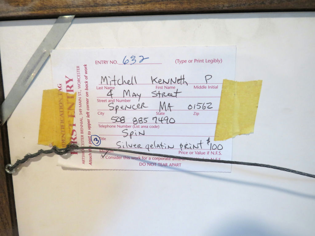 Kenneth Mitchell Framed Photograph Children Biennial Winner - image 6 of 6