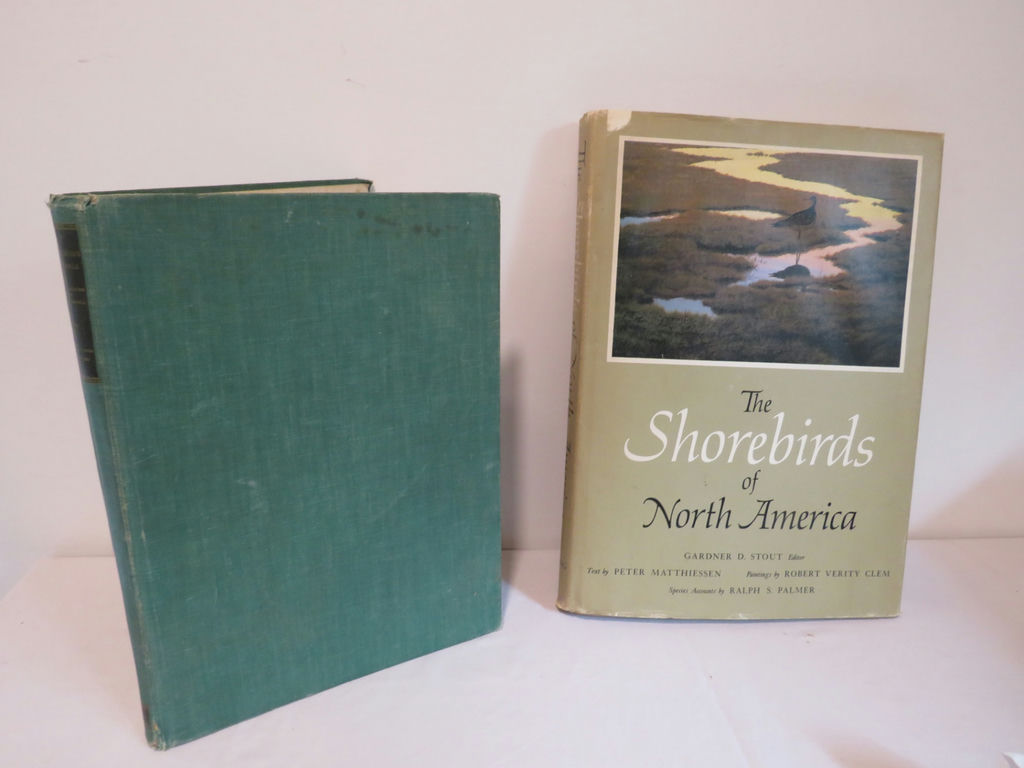 Nature Books Shorebirds and Aububon's Animals - image 1 of 8