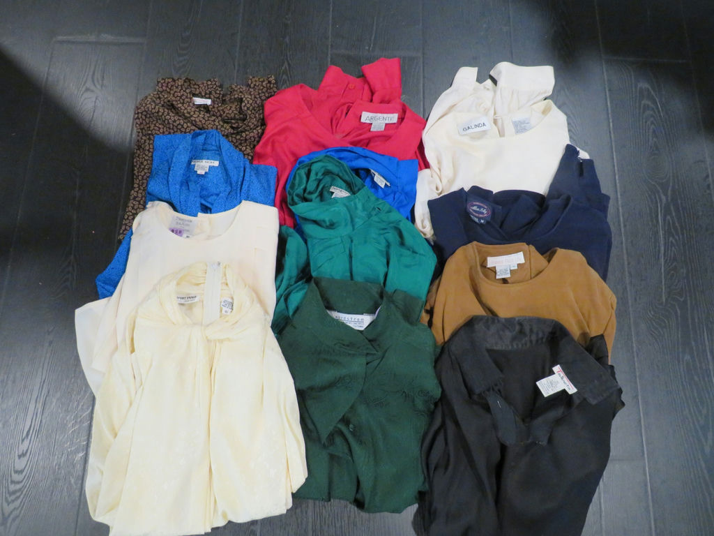 12 Women's Silk Tops Nordstrom Talbots - image 9 of 18