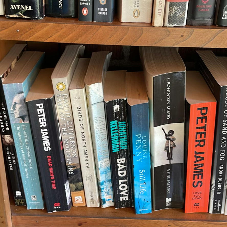 Fiction Book Collection - image 11 of 14