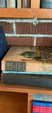 Vintage Book Lot - thumbnail 11 of 18