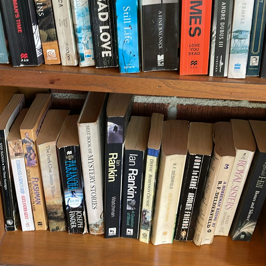 Fiction Book Collection  - image 10 of 14