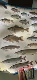 Scrabble Game and Dictionary, Canada Flag, Fishing Posters - thumbnail 7 of 10
