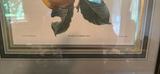 Apples and Pears Artwork - thumbnail 3 of 5