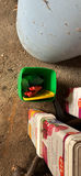 Garden and Outside Tools - thumbnail 7 of 15