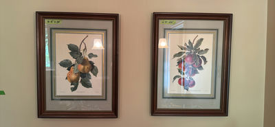 Apples and Pears Artwork - Image 1 of 5