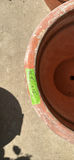 2 large clay Planters - thumbnail 4 of 4