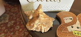 Card Holder, Cribbage Board and Conch - thumbnail 2 of 9