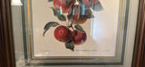 Apples and Pears Artwork - thumbnail 5 of 5