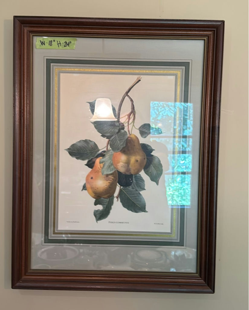 Apples and Pears Artwork - image 2 of 5