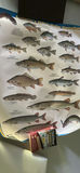 Scrabble Game and Dictionary, Canada Flag, Fishing Posters - thumbnail 9 of 10