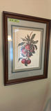 Apples and Pears Artwork - thumbnail 4 of 5