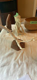 Art Gourd Containers, Antler Art - thumbnail 6 of 19