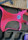 Pink dog harness with grooming kit and accessories - thumbnail 3 of 4