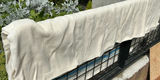 2 Vintage Wool Blankets - thumbnail 2 of 4