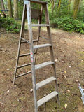 Ladders - thumbnail 2 of 5