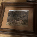 Framed deer and landscape prints - thumbnail 4 of 7