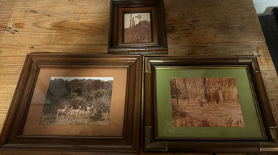 Framed deer and landscape prints - Image 1 of 7