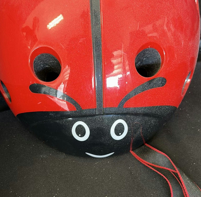 Green Schwinn bicycle helmet and red ladybug helmet - image 3 of 3