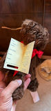 Assorted teddy bears with passport tags - thumbnail 4 of 9