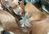 Another Big Collection Of Copper - thumbnail 5 of 8