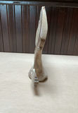 "Drummer" From The YUPIK Tribe NW Alaska - thumbnail 14 of 14